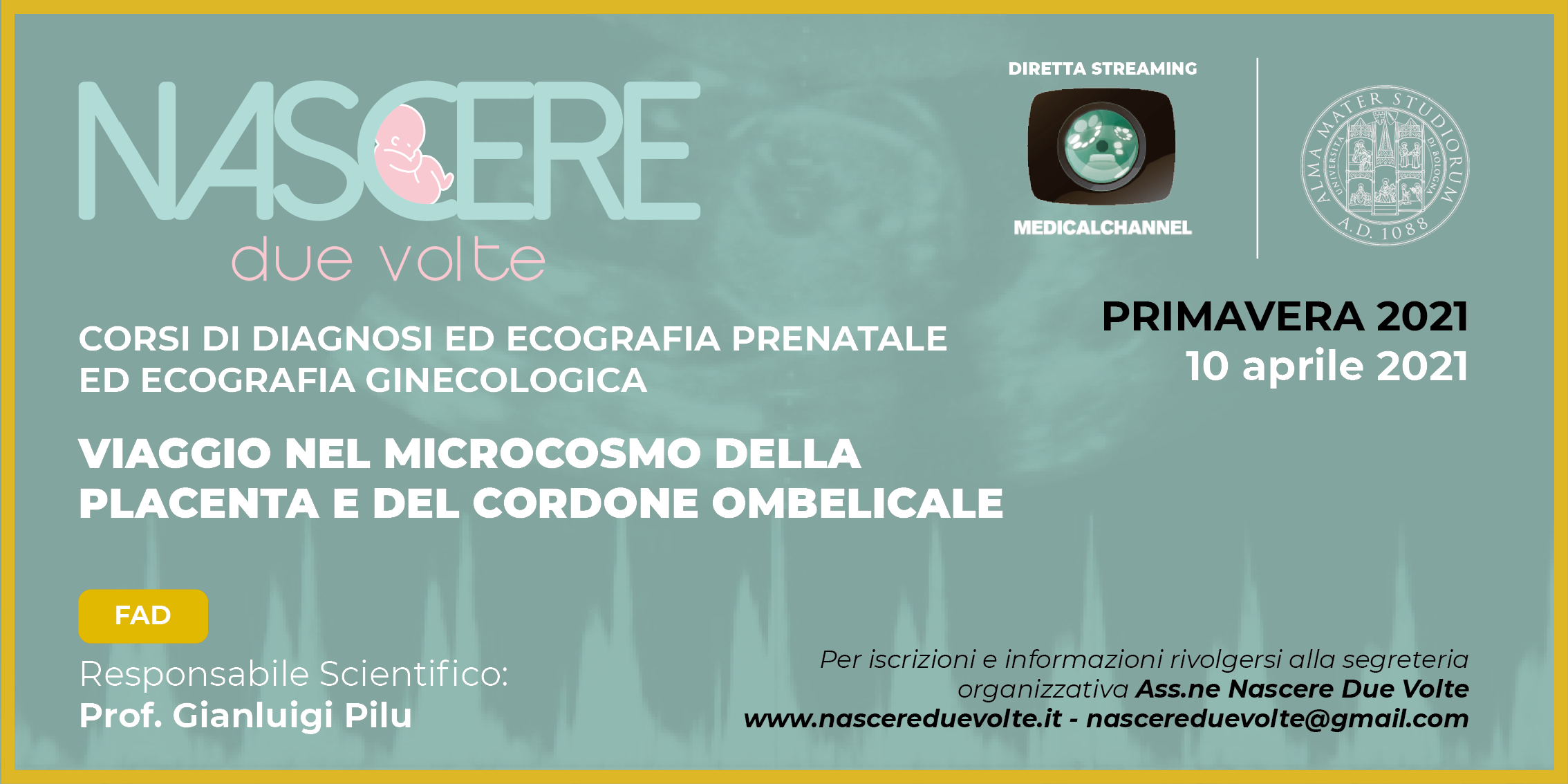 Viaggio nel Microcosmo della Placenta e del Cordone Ombelicale